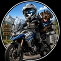 Benutzeravatar